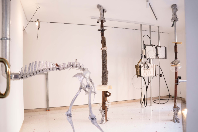 Panorama x EXCLAMA Proyectos | Mistranslation, Natalia Mejía Murillo 18.06 – 6.09.2026